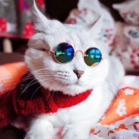 Pet Sunglasses For Dogs Cats Mini Retro Round Metal Frame Colorful Lens Trendy Pet Eyewear Photography Props Accessories
