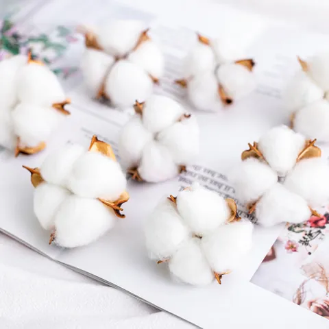 Artificial Cotton Heads Natural Dried Flowers Christmas Wreath DIY Materials Handmade Craft Accents For Home Party Decor