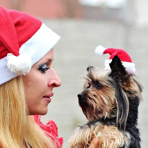 Pet Christmas Hat Red White Santa Claus Hat With White Plush Ball Elastic Strap For Small Dogs Cats Costume Accessories