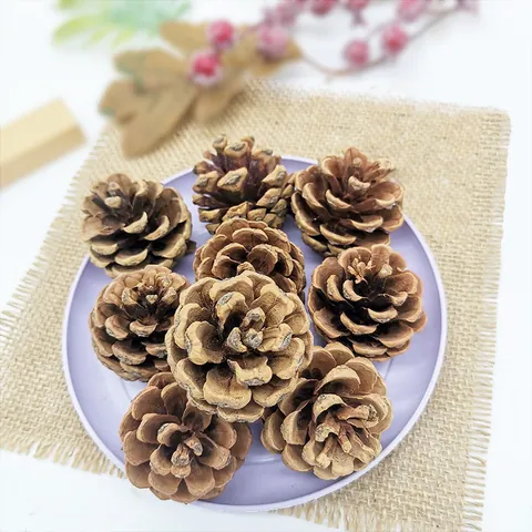 Natural Wood Pine Cones Dried Flowers For Christmas Decoration White Painted Pinecones DIY Craft Rustic Home Decor Accessories