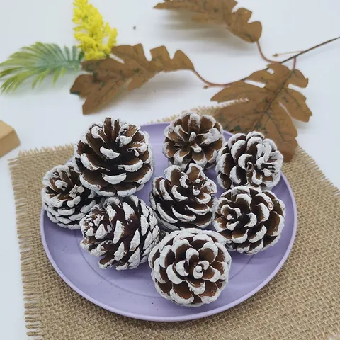 Natural Wood Pine Cones Dried Flowers For Christmas Decoration White Painted Pinecones DIY Craft Rustic Home Decor Accessories