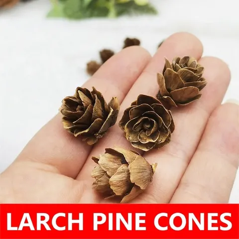 Natural Mini Dried Larch Flowers Pine Cones For Christmas Decoration DIY Handicraft Home Decor Wedding Party Floral Accessories