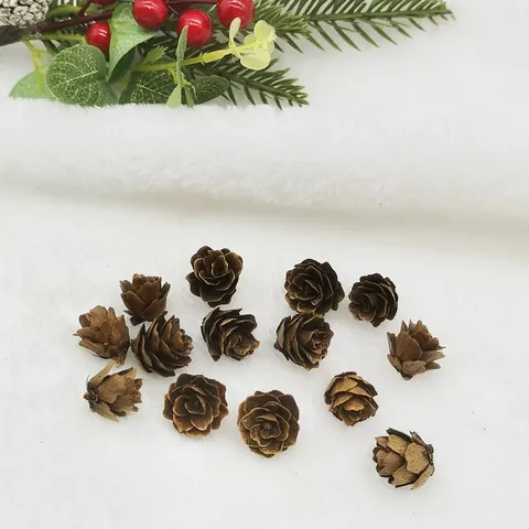 Natural Mini Dried Larch Flowers Pine Cones For Christmas Decoration DIY Handicraft Home Decor Wedding Party Floral Accessories
