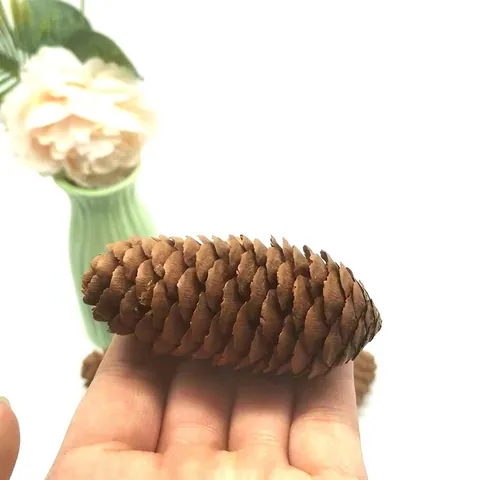 Natural Spruce Pine Cones Christmas Decoration Dried Flower DIY Wreath Accessories Rustic Home Decor Ornaments Wedding