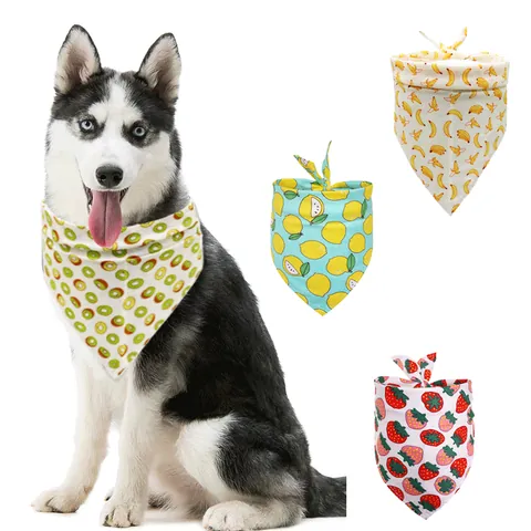 Pet Scarves