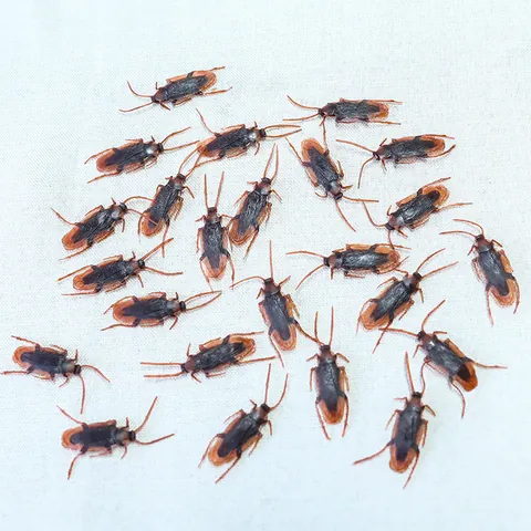Juguete de Broma de Cucaracha de Simulación Realista Insectos de Plástico Gadget de Broma para Regalos de Fiesta de Halloween Truco Divertido Prop