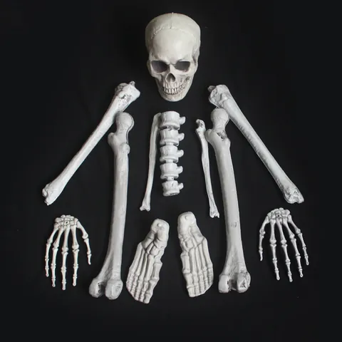 Ossa dello Scheletro Umano Realistiche di Halloween Horror Set Parti del Corpo dello Scheletro in Plastica Invecchiata per Bar Festa Decorazione