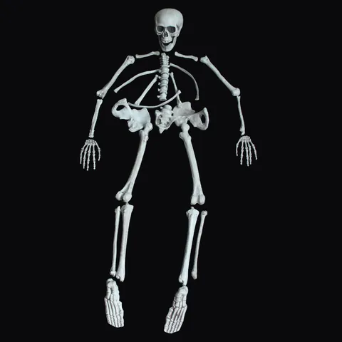Ossa dello Scheletro Umano Realistiche di Halloween Horror Set Parti del Corpo dello Scheletro in Plastica Invecchiata per Bar Festa Decorazione