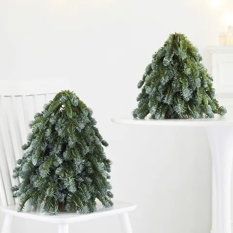 Realistic PE Nobel Fir Mini Christmas Tree Desktop Ornament Nordic Style Tabletop Xmas Tree For Home Office Holiday Decor