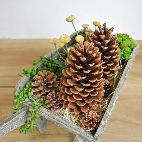 Natürliche Amerikanische Tannenzapfen Große Trockenblumen Dekoration Für Weihnachten Schaufenster DIY Material Rustikale Wohnkultur Ornamente