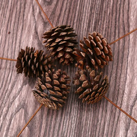 Natürliche Getrocknete Tannenzapfen Mit Stielen Handgefertigter Rustikaler Kiefernzapfenstrauß Für Heimdekor Weihnachten DIY Basteln