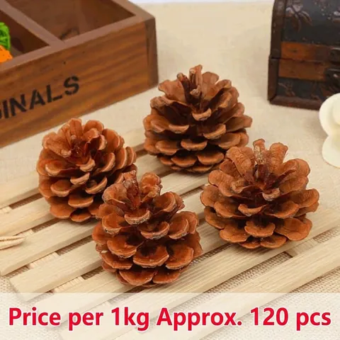 Natuurlijke Gedroogde Dennenappels Voor Kerstversiering Rustiek DIY Handwerkmateriaal Herfst Ornamenten Bruine Dennenappels Bulkverpakking