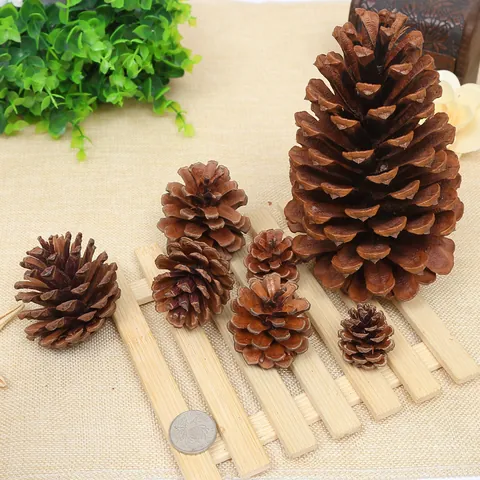 Natural Dried Pine Cones Large Pinecones Christmas Ornaments For Home Wedding Decor Rustic Wooden Botanical Craft Ornaments
