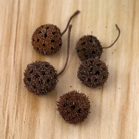 Natural Dried Liquidambar Fruit For Christmas Tree Decoration DIY Craft Materials Forest Style Photography Props Ornaments