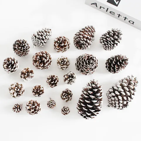 Natürliche Tannenzapfen Weihnachtsbaum Dekoration Schnee-Effekt Weiß Bemalte Trockenblumen DIY Handwerk Material Für Weihnachten