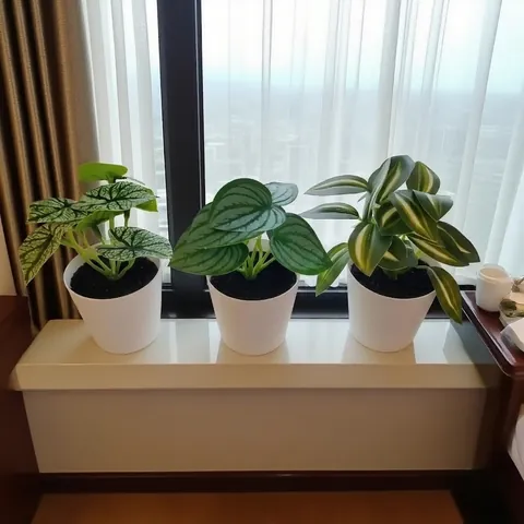 Modern Minimalist Artificial Potted Plants Desktop Greenery PVC Fake Succulents In White Pots For Office Home Table Decoration