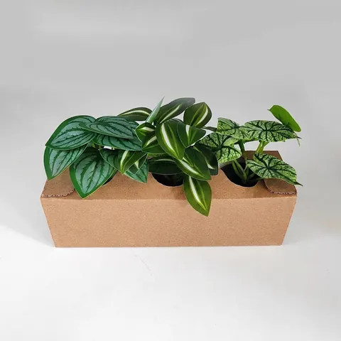Modern Minimalist Artificial Potted Plants Desktop Greenery PVC Fake Succulents In White Pots For Office Home Table Decoration
