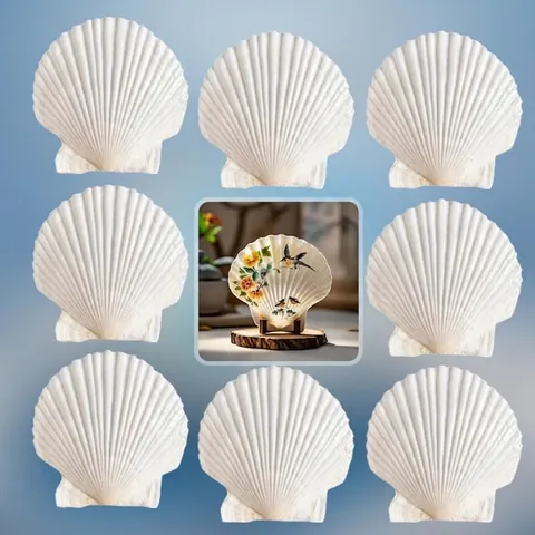 Coquilles de Noix de Saint-Jacques Blanches Naturelles Pour Peinture DIY Bougeoir Décoration de Plat Artisanat Style Marin Maison