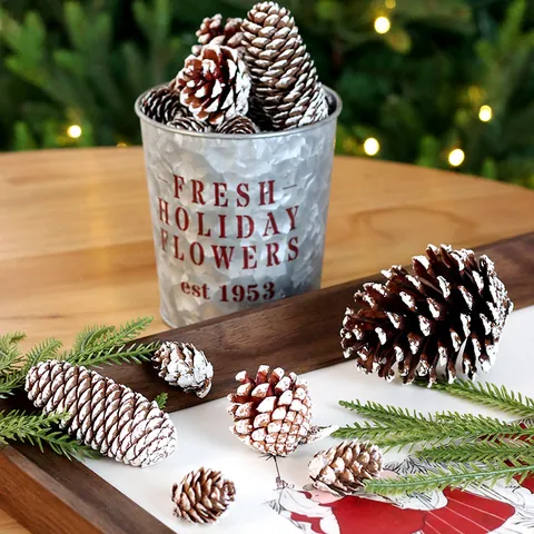 Natural Pine Cones With White Tips Snow Effect For Christmas Tree Decoration DIY Craft Wreath Holiday Home Decor Photo Prop