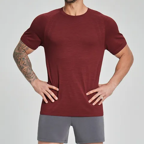 Men Seamless Fitness Athletic T-Shirt Quick Dry Breathable Nylon Polyester Sport Top Gym Workout Running Short Sleeve Top