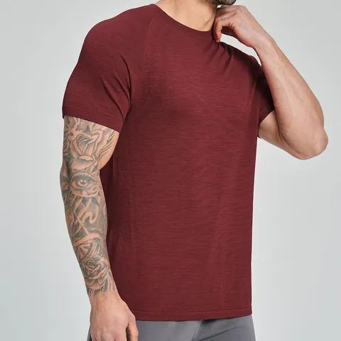 Men Seamless Fitness Athletic T-Shirt Quick Dry Breathable Nylon Polyester Sport Top Gym Workout Running Short Sleeve Top