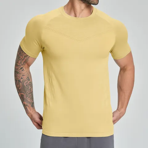 Men's Seamless Quick Dry Athletic T-Shirt Breathable Short Sleeve Fitness Top For Gym Hiking Running Outdoor Sports