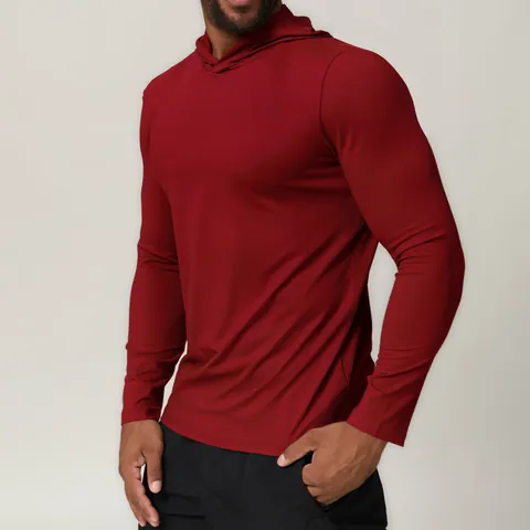 Men Quick-Dry Hooded Athletic T-Shirt Long Sleeve Pullover Running Fitness Gym Workout Sports Top Polyester Spandex Solid