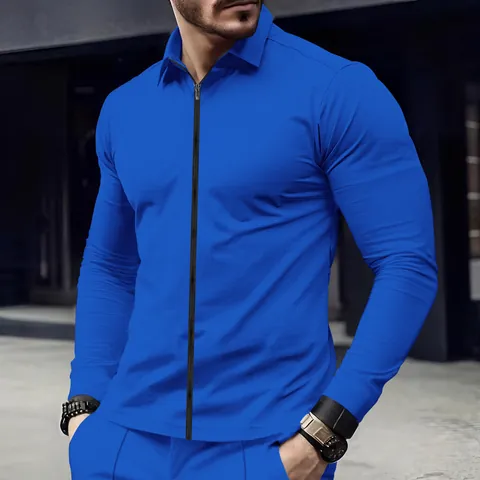 Heren Casual Wafelbreisel Polo Shirt met Kwart Rits Lange Mouw Sneldrogend Effen Kleur Revers Jas Top Outdoor Mode