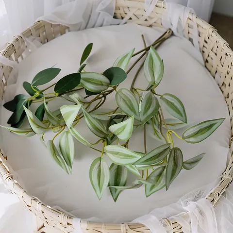 Branche de Feuille Plastique Artificielle Réaliste Pépéromia Misère Verdure Pour Décoration de Table Maison Mariage Fête Ornement de Feuillage