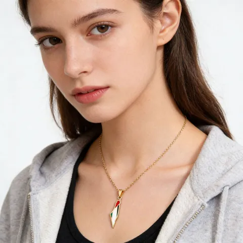 Collar con Colgante de Mapa de Palestina de Acero Inoxidable Esmalte Colores Bandera Estilo Étnico Vintage Unisex Joyería