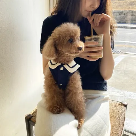Sailor Style Pet Clothing Navy Dog Vest Shirt College Style Puppy Cat Autumn Clothing For Small Dogs Cats