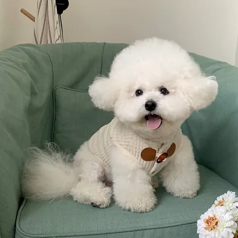Thickened Pet Dog Vest With Traction D-Ring Autumn Winter Warm Dog Clothes Waffle Quilted Padded Jacket For Small Dogs Cats