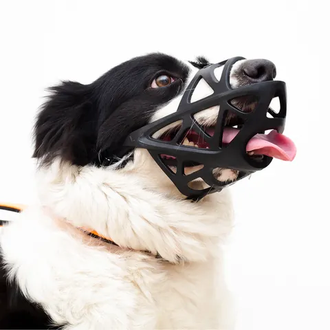 Verstellbarer TPR Hundemaulkorb Hohles Korbdesign Antibiss Antibellen Maulkorb Für Mittelgroße Große Hunde Atmungsaktives Haustier Trainingszubehör