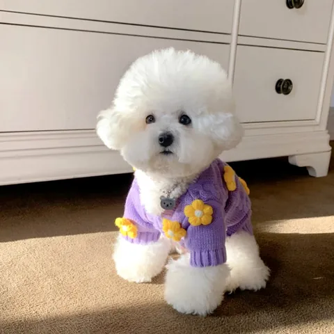Pet Dog Cat Knit Sweater Warm Purple Cable Knit Floral Puppy Clothing For Small Dogs Cats Teddy Bichon Autumn Winter