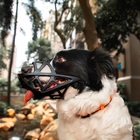 Verstellbarer TPR Hundemaulkorb Hohles Korbdesign Antibiss Antibellen Maulkorb Für Mittelgroße Große Hunde Atmungsaktives Haustier Trainingszubehör