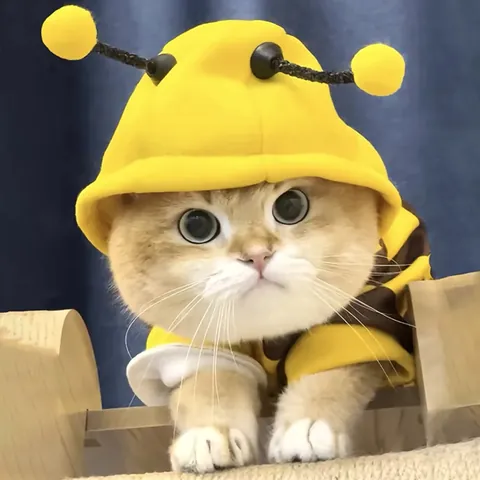 Cute Bee Pet Costume Soft Fleece Dog Clothes For Small Dogs Cats Funny Striped Hooded Autumn Winter Warm Puppy Cat Coat
