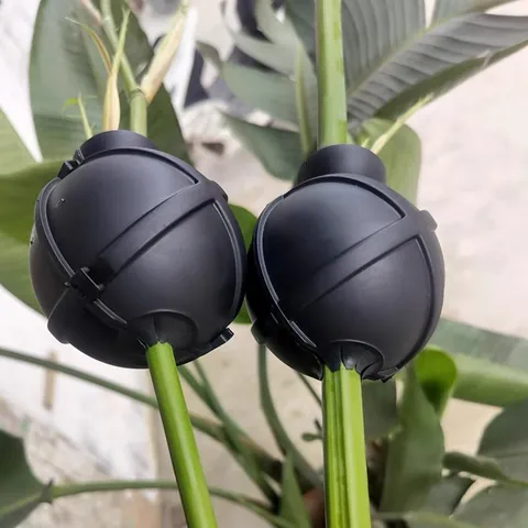 Schwarze Kunststoff Pflanze Bewurzelung Box Hochdruck Vermehrung Ball Pfropfen Gerät Garten Baum Zucht Gärtnerei Werkzeug
