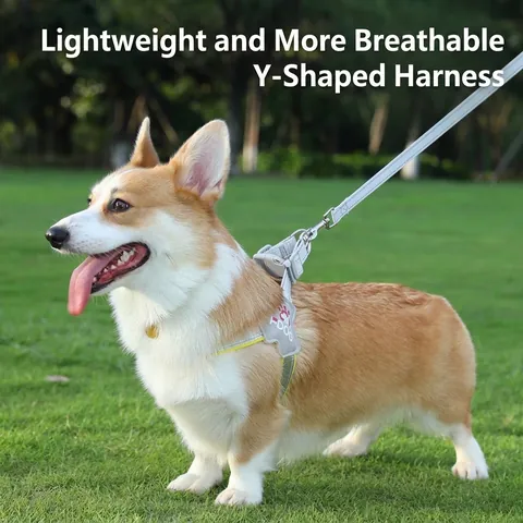 Reflective Dog Harness And Leash Set Nylon Breathable Mesh Adjustable Safety Pet Vest For Small Medium Large Dogs Outdoor Walking
