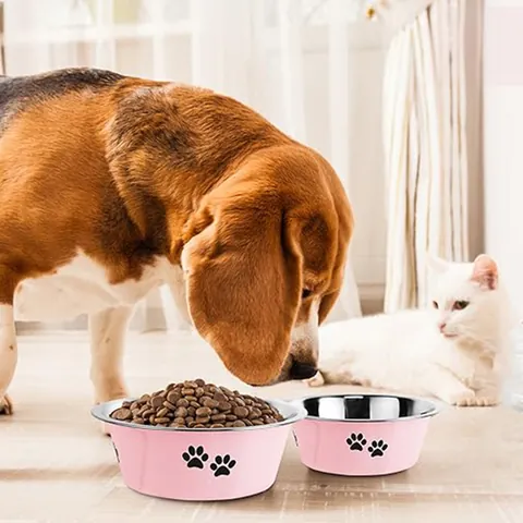 Stainless Steel Pet Bowl Large Capacity Anti-Tip Dog Cat Food Water Basin Non-Slip Bottom Paw Print Pattern Pet Feeding Bowl