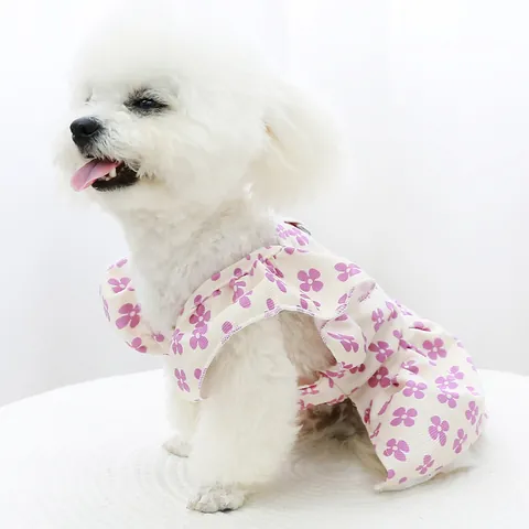 Robe de Princesse pour Chien Imprimé Trèfle Avec Bordure en Dentelle et Anneau en D Robe d'Été Florale pour Petits Chiens