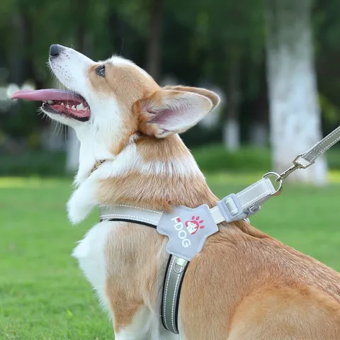 Adjustable Reflective Dog Harness And Leash Set No Pull Breathable Mesh Vest For Small Medium Large Dogs Pet Walking Safety