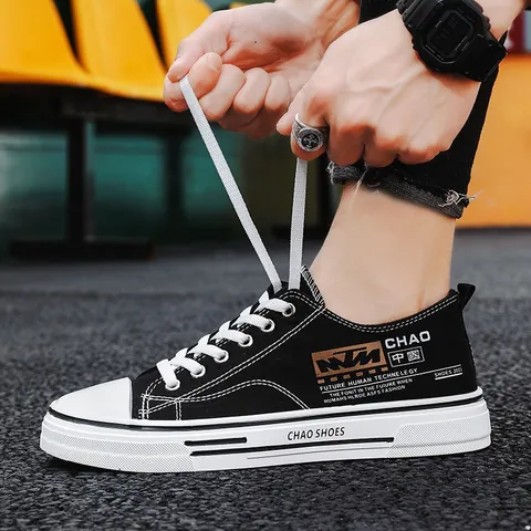 Men's Casual Canvas Shoes Low-Top Fashion Board Shoes Trendy Printed Round Toe Lace-Up Student Teenager Daily Sneakers