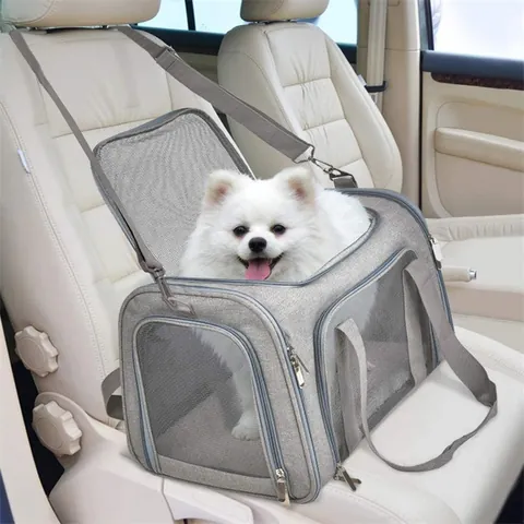 Borsa Trasportino Per Animali Domestici Pieghevole Per Gatti E Cani Piccola Capacità Rete Traspirante Borsa Da Viaggio Portatile Auto Esterno