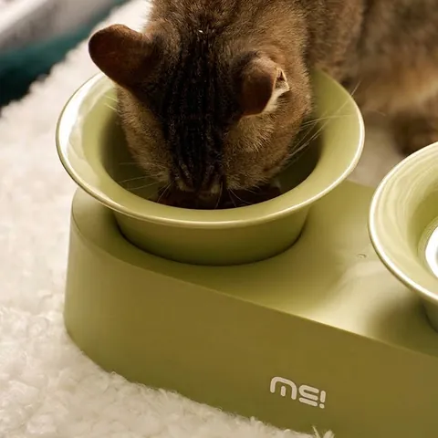 Erhöhter Keramik Doppel Haustiernapf Schräger Hoher Ständer Nackenschutz Katze Hund Fütterung Bewässerung Napf Station