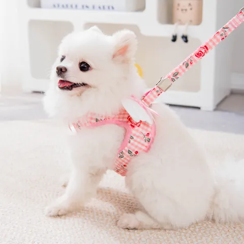 Angel Wings Pet Harness and Leash Set For Small Dogs Cats Plaid Rose Floral Print Breathable Vest Mesh Harness Puppy Kitten Walking Lead