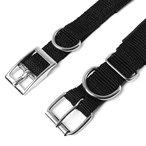 Collier Réglable pour Chien Doublure en Mousse Souple Sangle en Polypropylène Boucle à Ardillon en Métal Robuste pour Petits Moyens Grands Chiens Accessoires pour Animaux