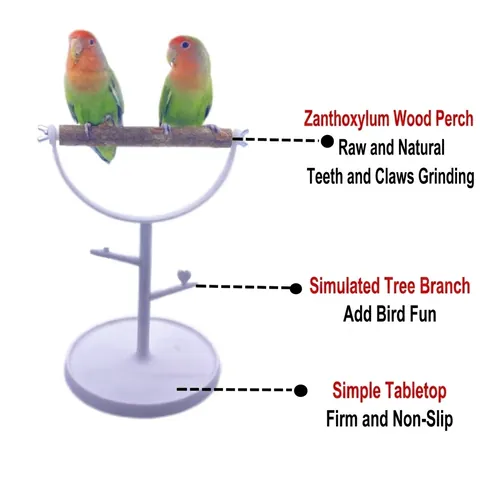 Portable Desktop Parrot Training Stand With Natural Wooden Perch For Small Birds Budgies Lovebirds Simple Bird Cage Play Stand