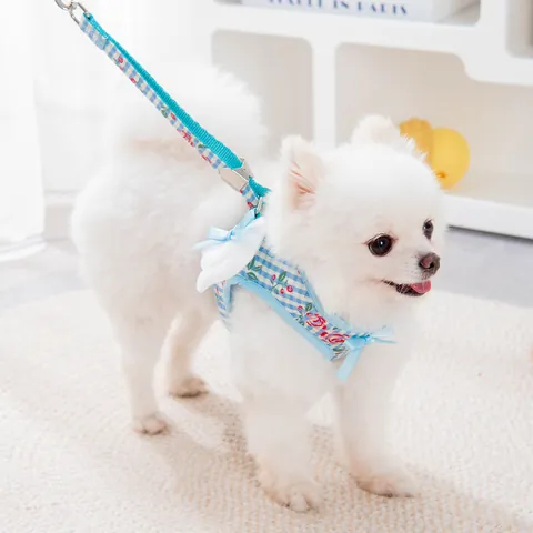 Angel Wings Pet Harness and Leash Set For Small Dogs Cats Plaid Rose Floral Print Breathable Vest Mesh Harness Puppy Kitten Walking Lead