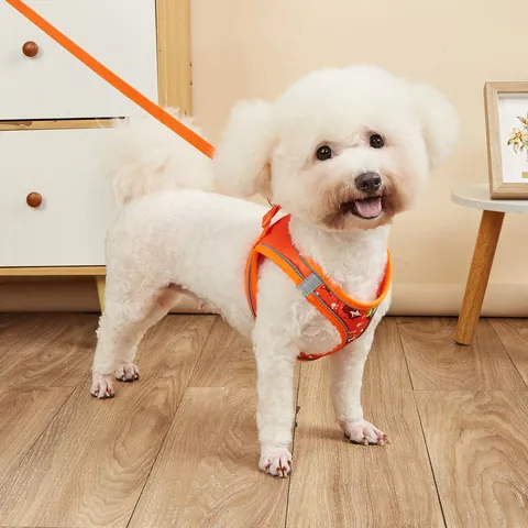 Pet Harness Leash Set Reflective Breathable Mesh Dog Vest Harness For Small Medium Dogs Cats Adjustable Printed Walking Leads