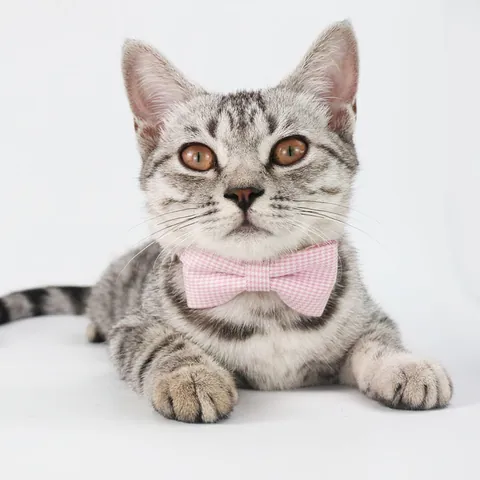 Adjustable Plaid Bow Tie Pet Collar For Cats Small Dogs Houndstooth Pattern Kitten Necklace With Safety Buckle Pet Accessories